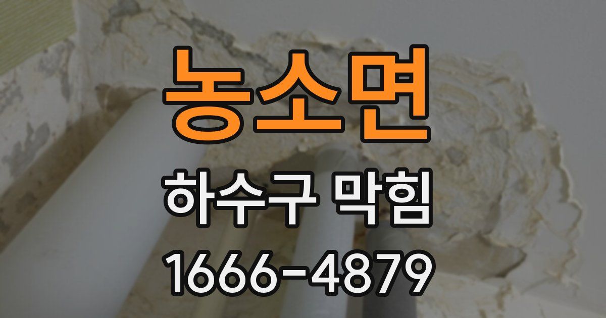 농소면 하수구 막힘