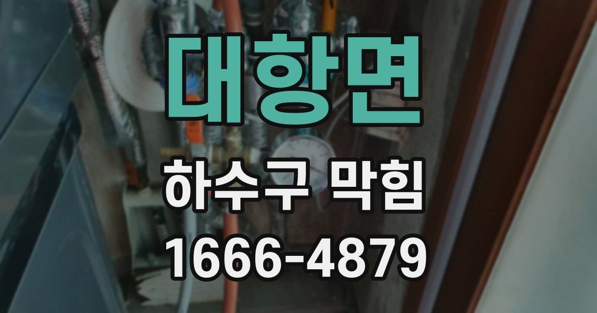 대항면 하수구 막힘