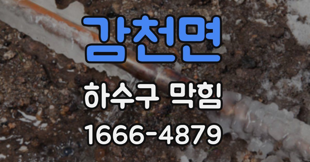감천면 하수구 막힘
