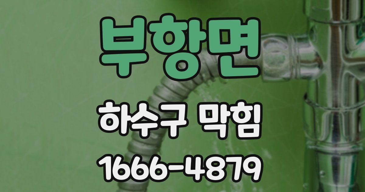 부항면 하수구 막힘