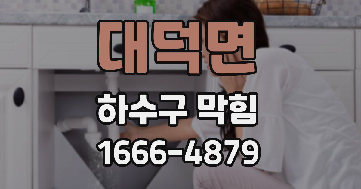 대덕면 하수구 막힘