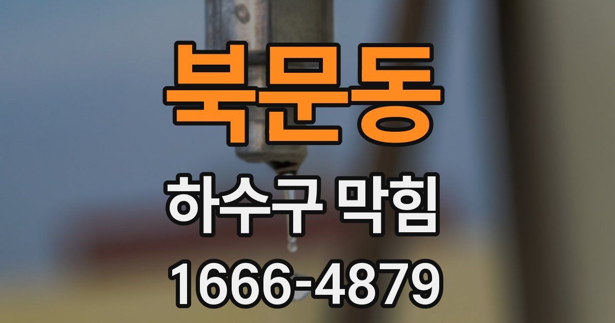 북문동 하수구 막힘