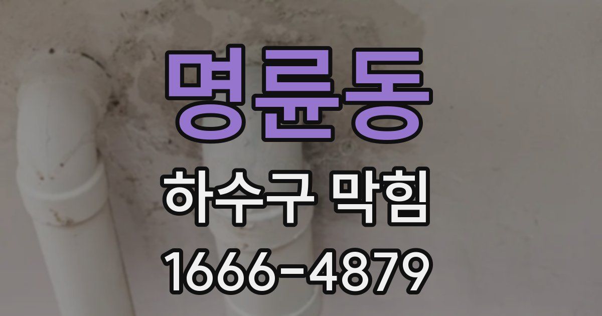 명륜동 하수구 막힘