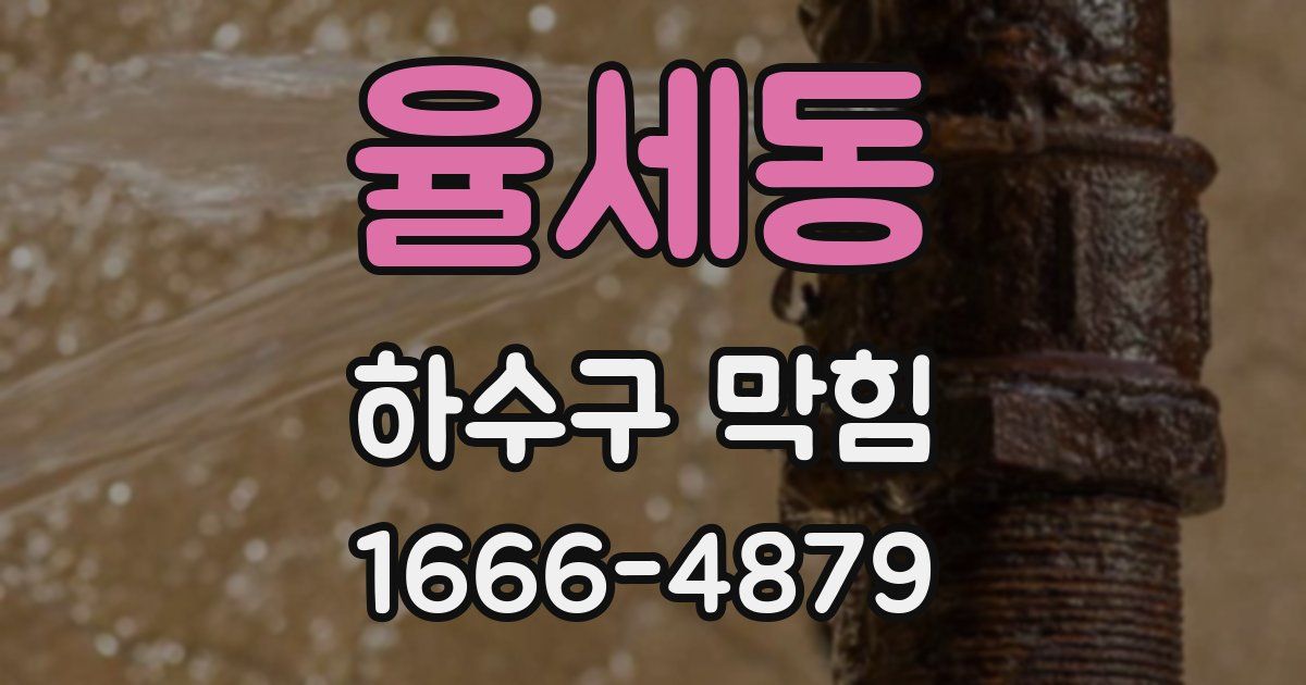 율세동 하수구 막힘