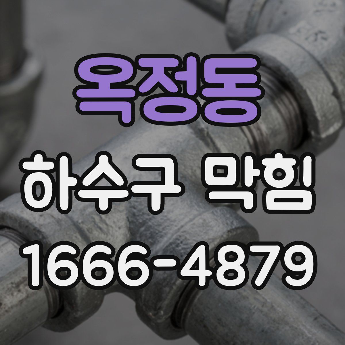 옥정동 하수구 막힘