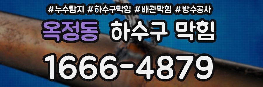 옥정동 하수구 막힘