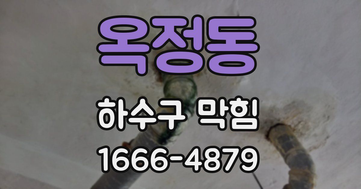 옥정동 하수구 막힘