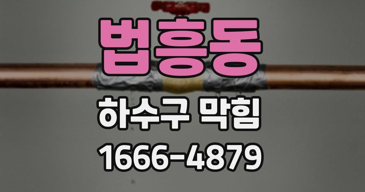 법흥동 하수구 막힘