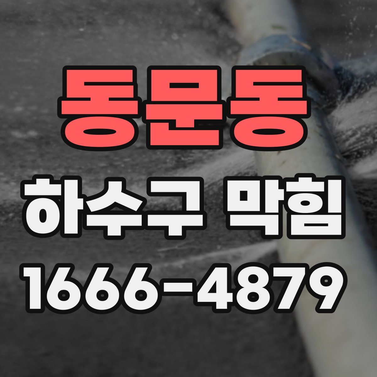 동문동 하수구 막힘