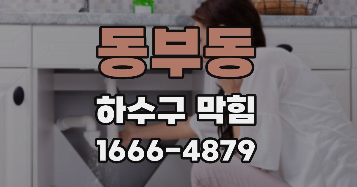 동부동 하수구 막힘