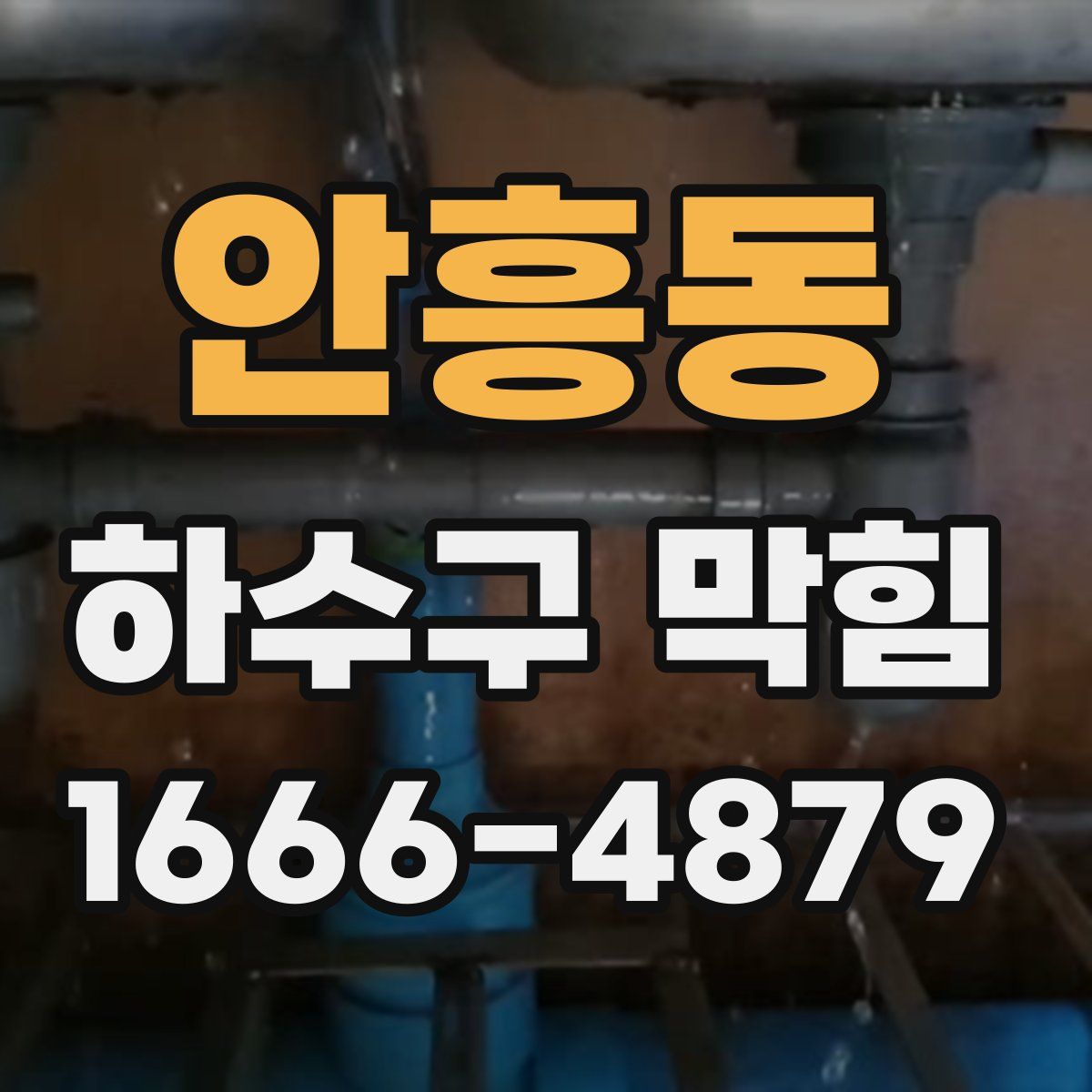 안흥동 하수구 막힘