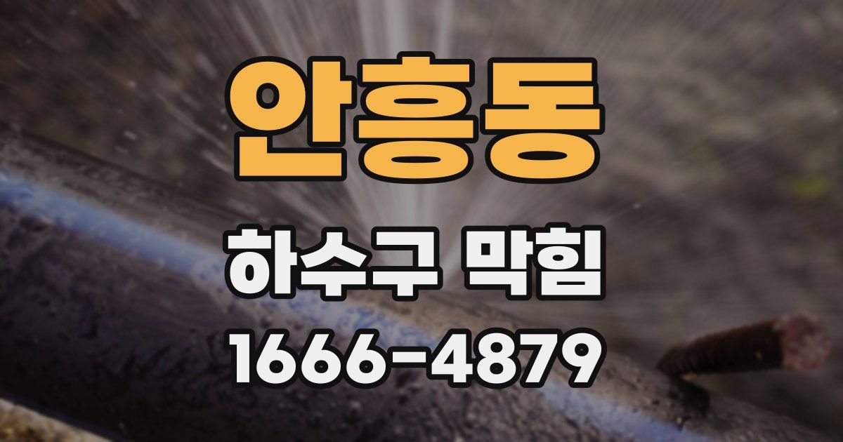 안흥동 하수구 막힘