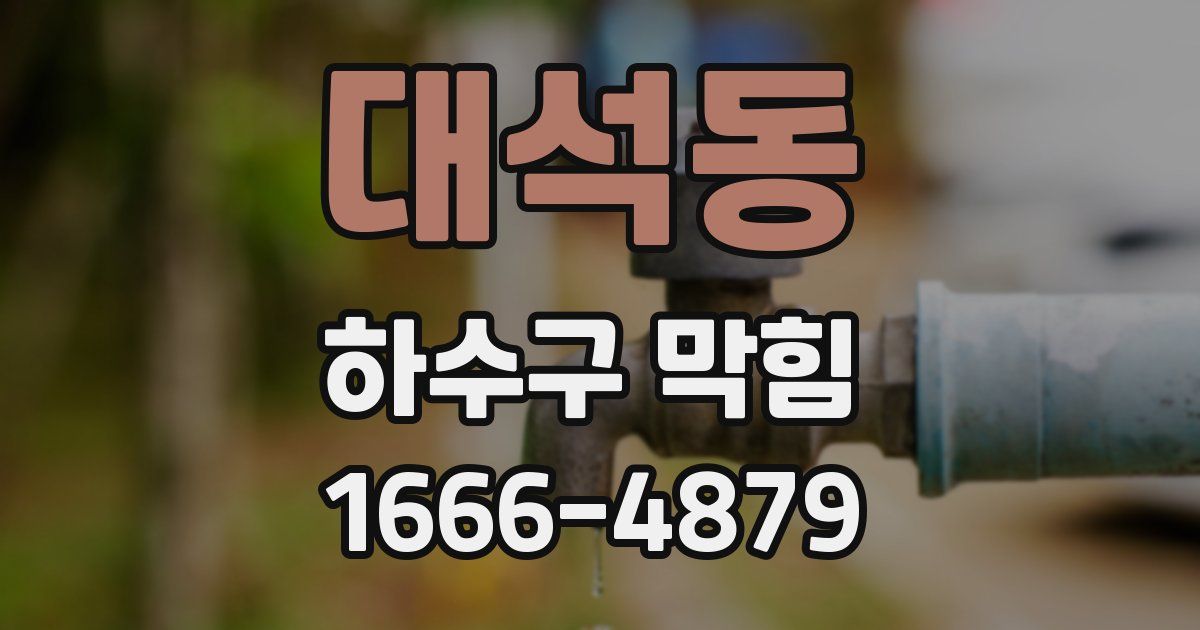 대석동 하수구 막힘