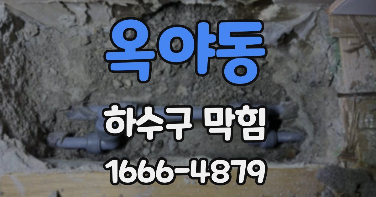 옥야동 하수구 막힘