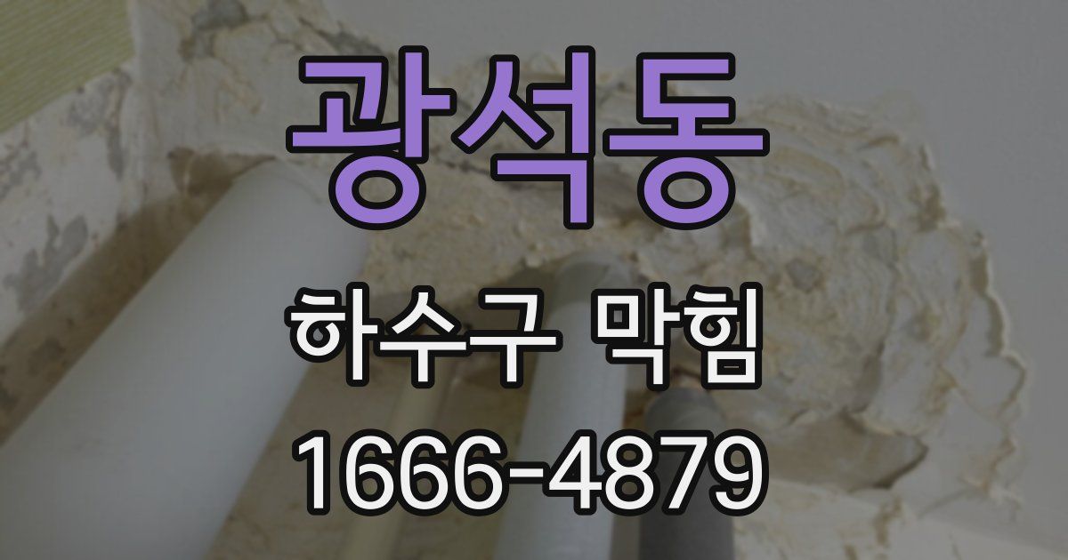 광석동 하수구 막힘