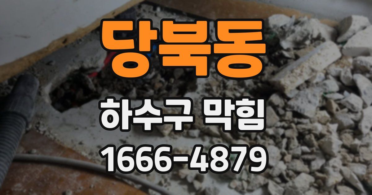 당북동 하수구 막힘