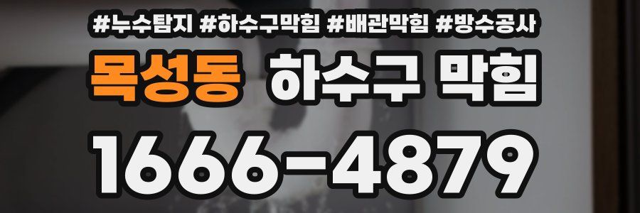 목성동 하수구 막힘