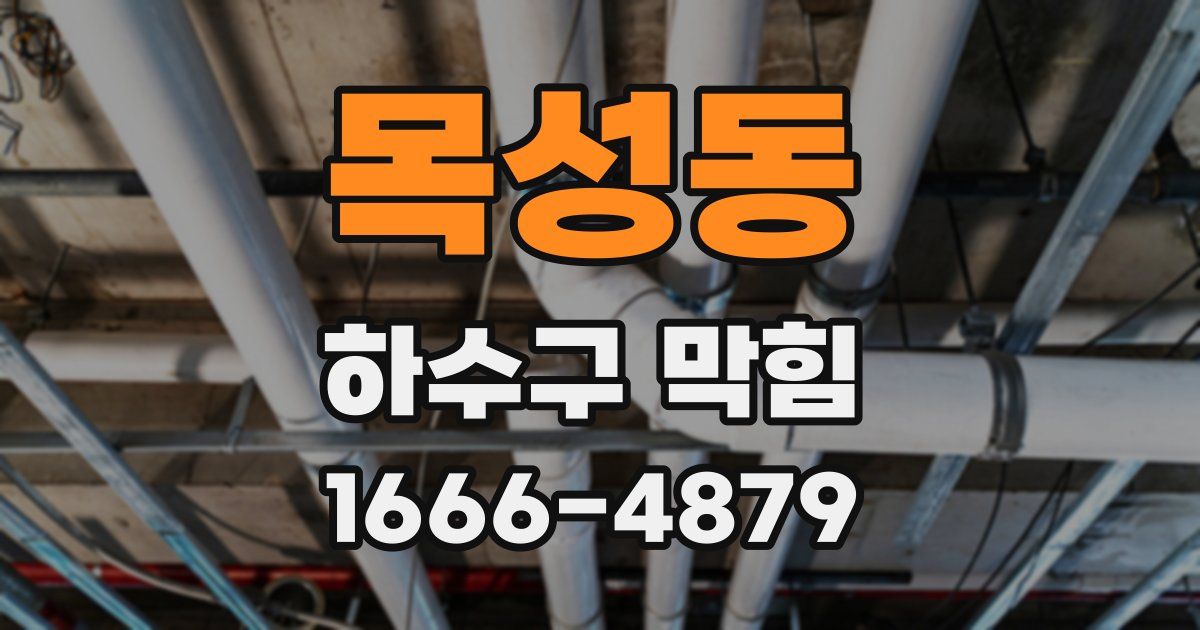 목성동 하수구 막힘