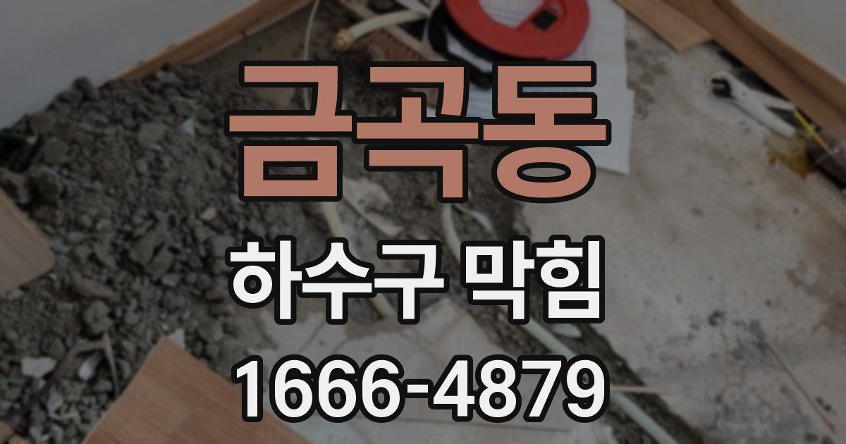 금곡동 하수구 막힘