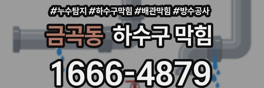 금곡동 하수구 막힘
