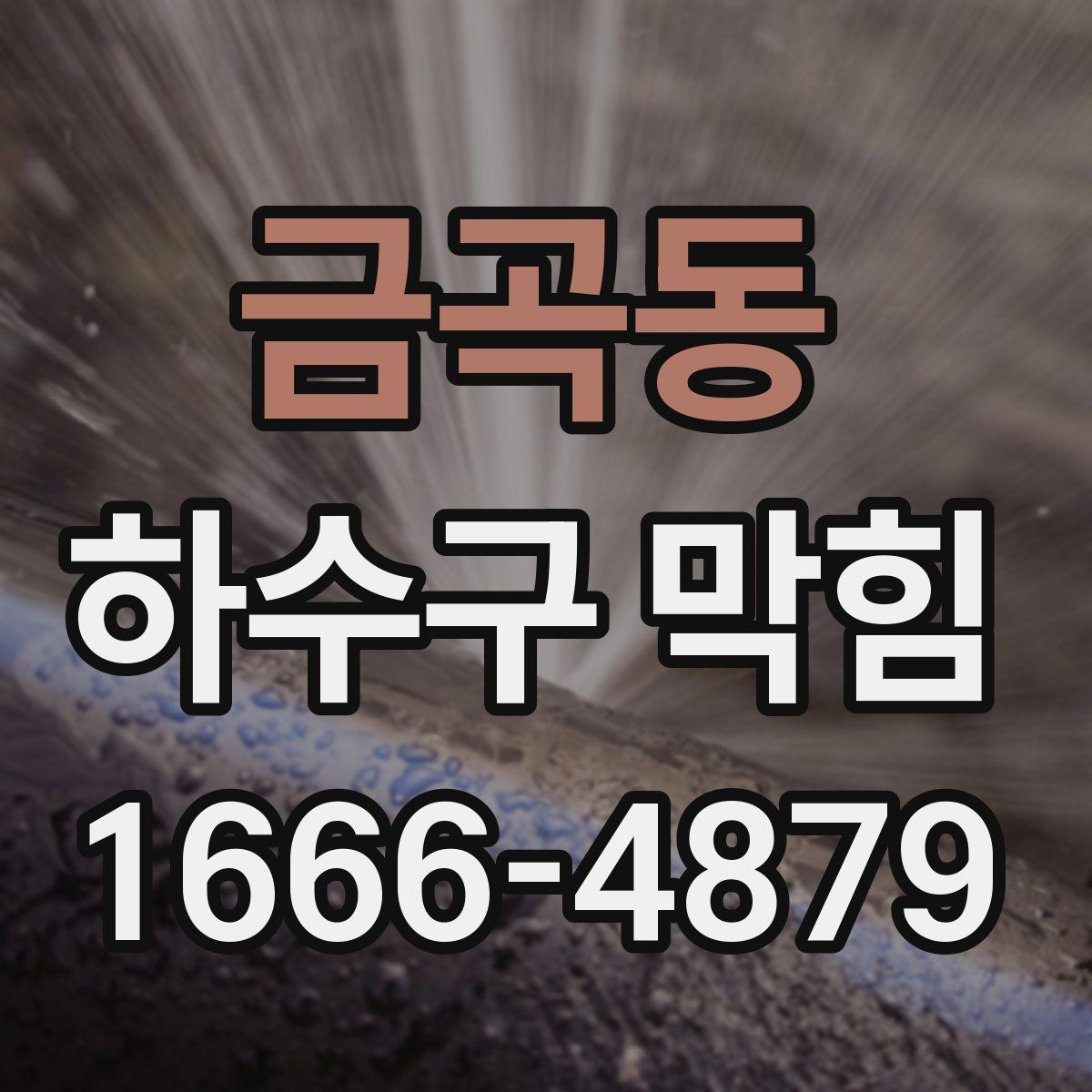 금곡동 하수구 막힘