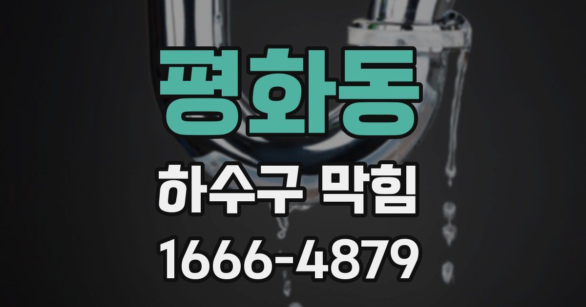 평화동 하수구 막힘