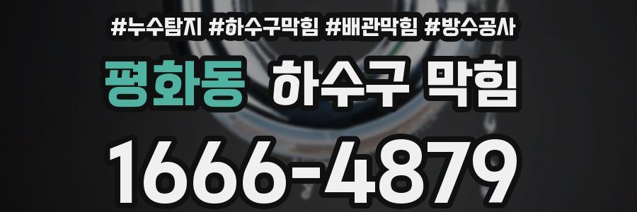 평화동 하수구 막힘