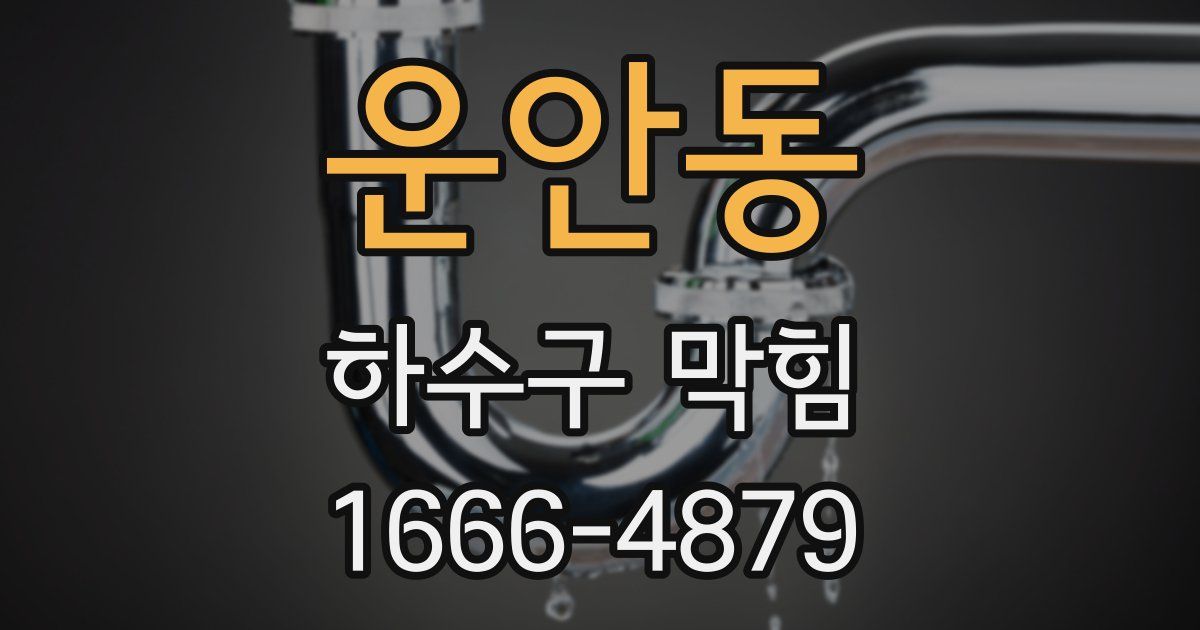 운안동 하수구 막힘