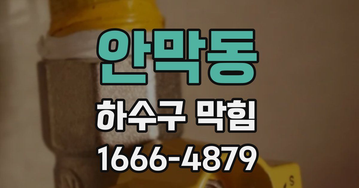 안막동 하수구 막힘