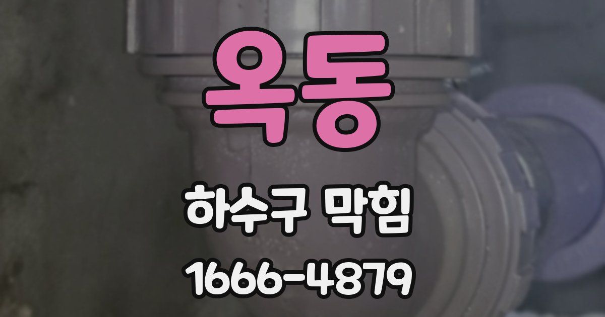 옥동 하수구 막힘