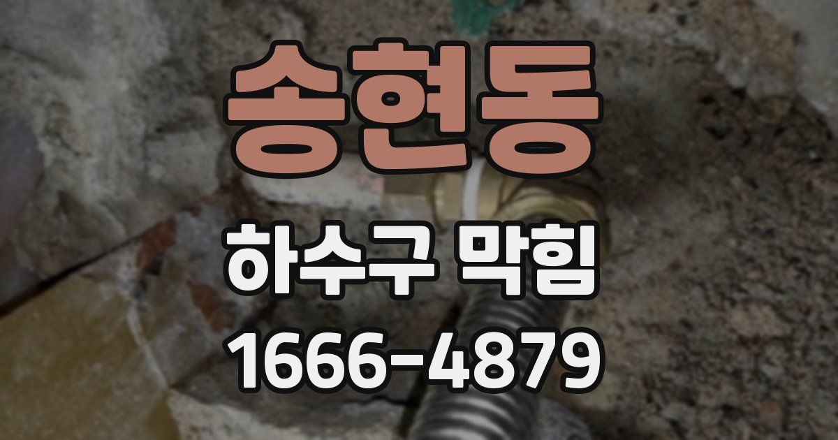 송현동 하수구 막힘