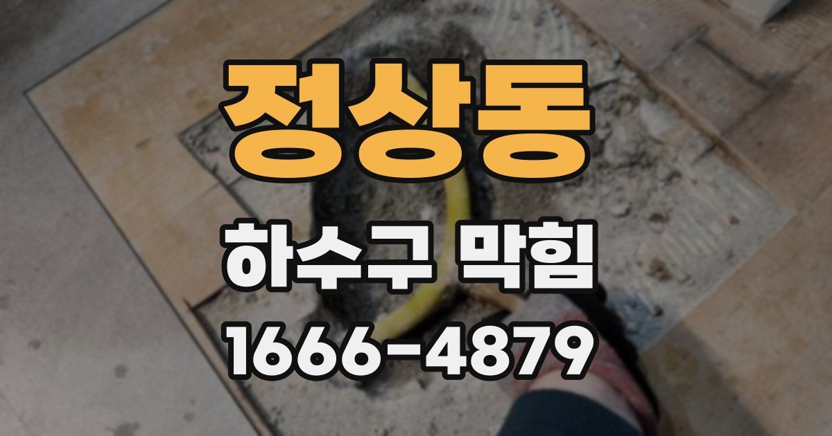 정상동 하수구 막힘