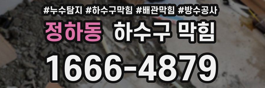 정하동 하수구 막힘