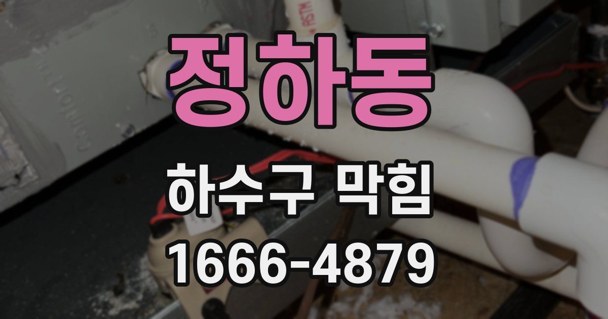 정하동 하수구 막힘