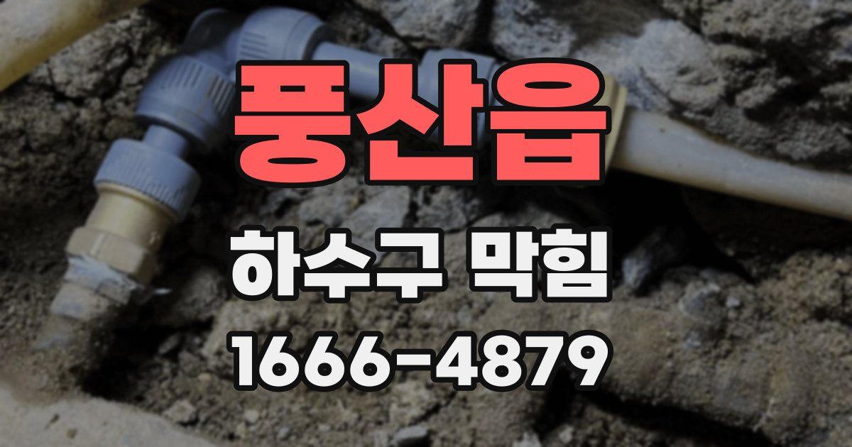 풍산읍 하수구 막힘
