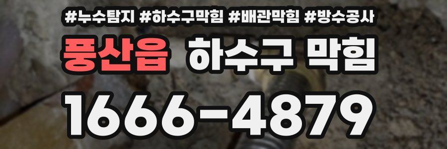 풍산읍 하수구 막힘
