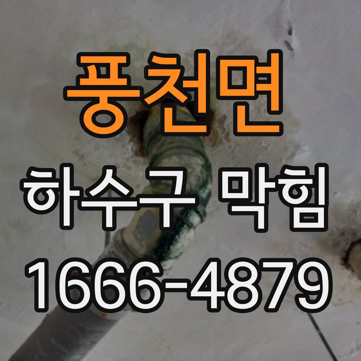 풍천면 하수구 막힘