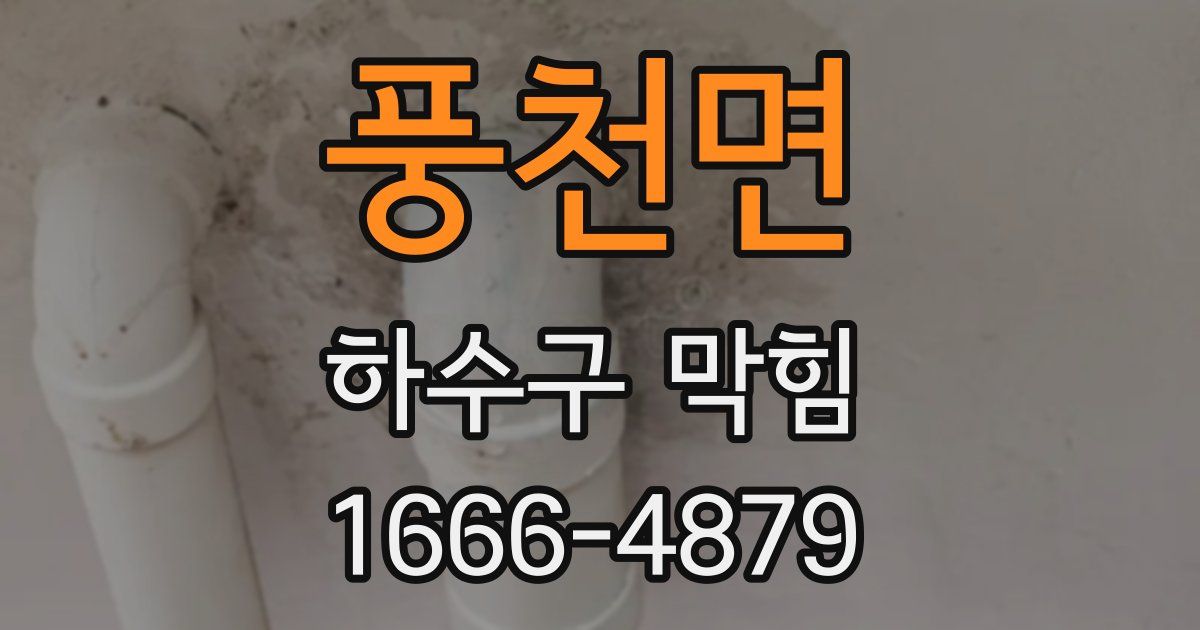 풍천면 하수구 막힘