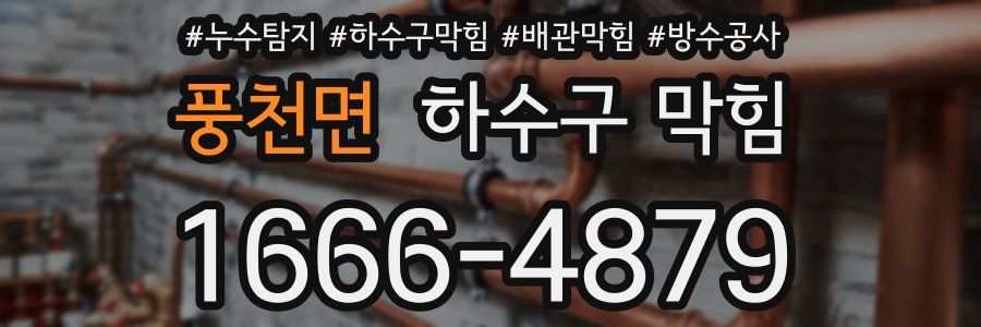 풍천면 하수구 막힘