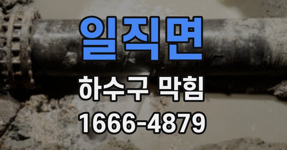 일직면 하수구 막힘
