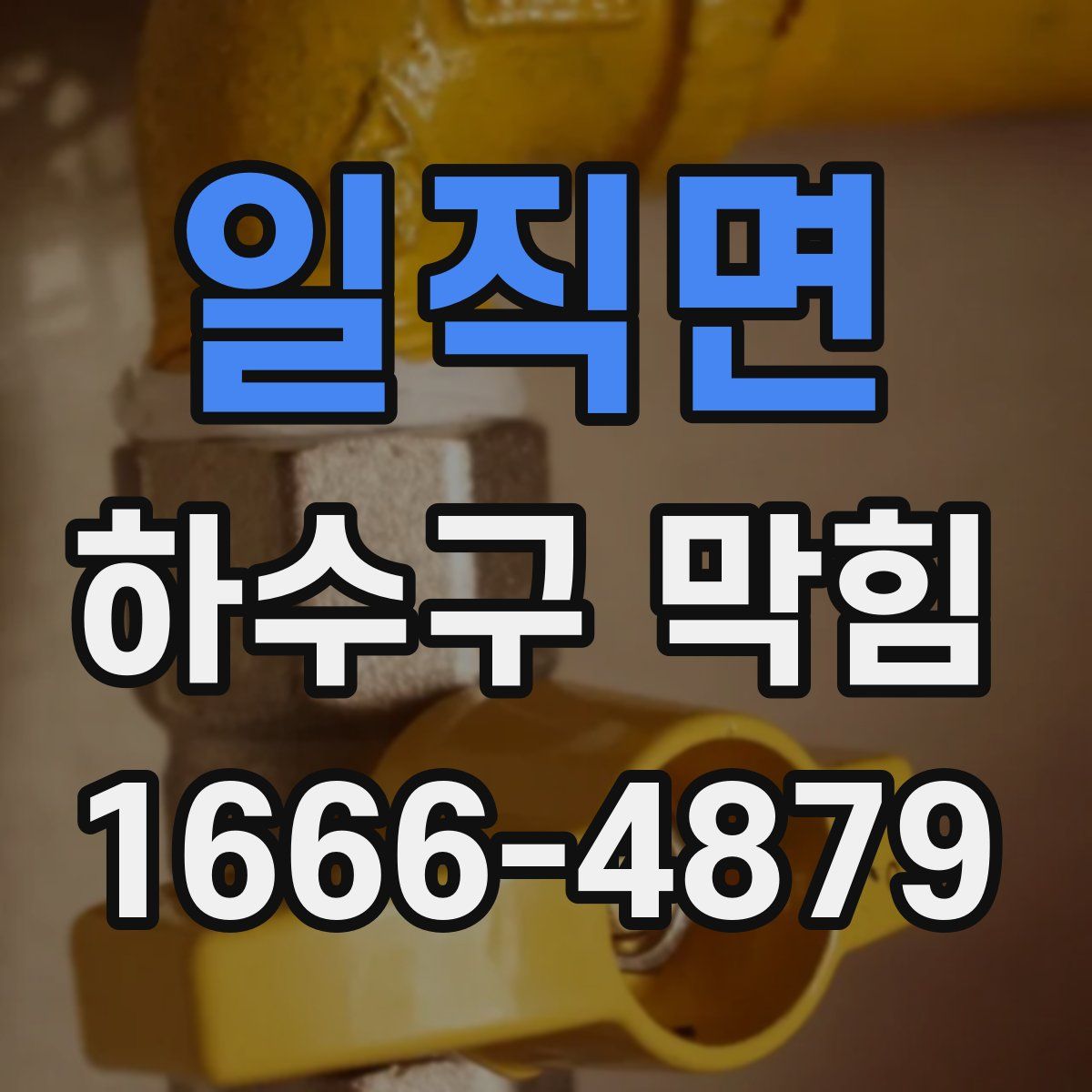 일직면 하수구 막힘