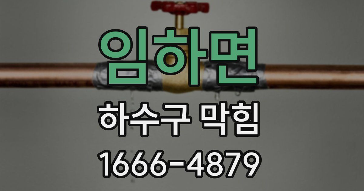 임하면 하수구 막힘