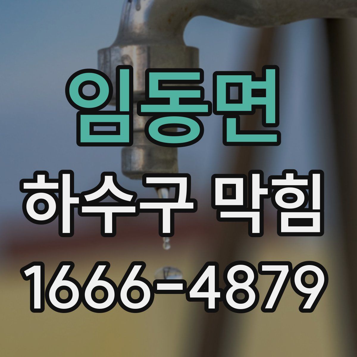 임동면 하수구 막힘