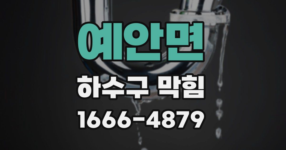 예안면 하수구 막힘