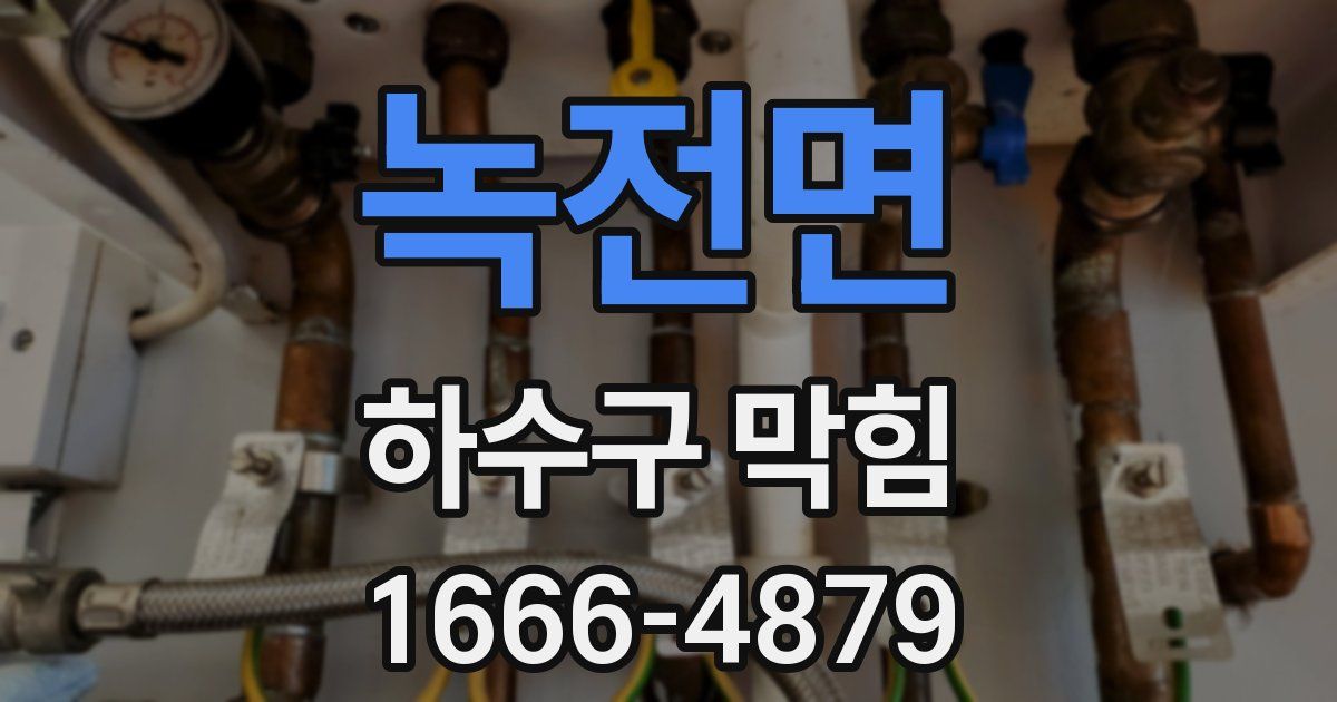 녹전면 하수구 막힘