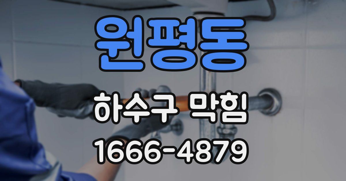 원평동 하수구 막힘