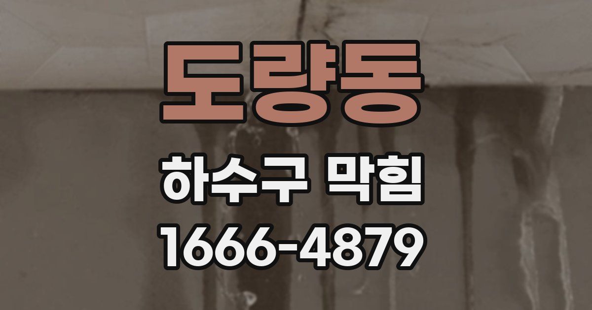 도량동 하수구 막힘