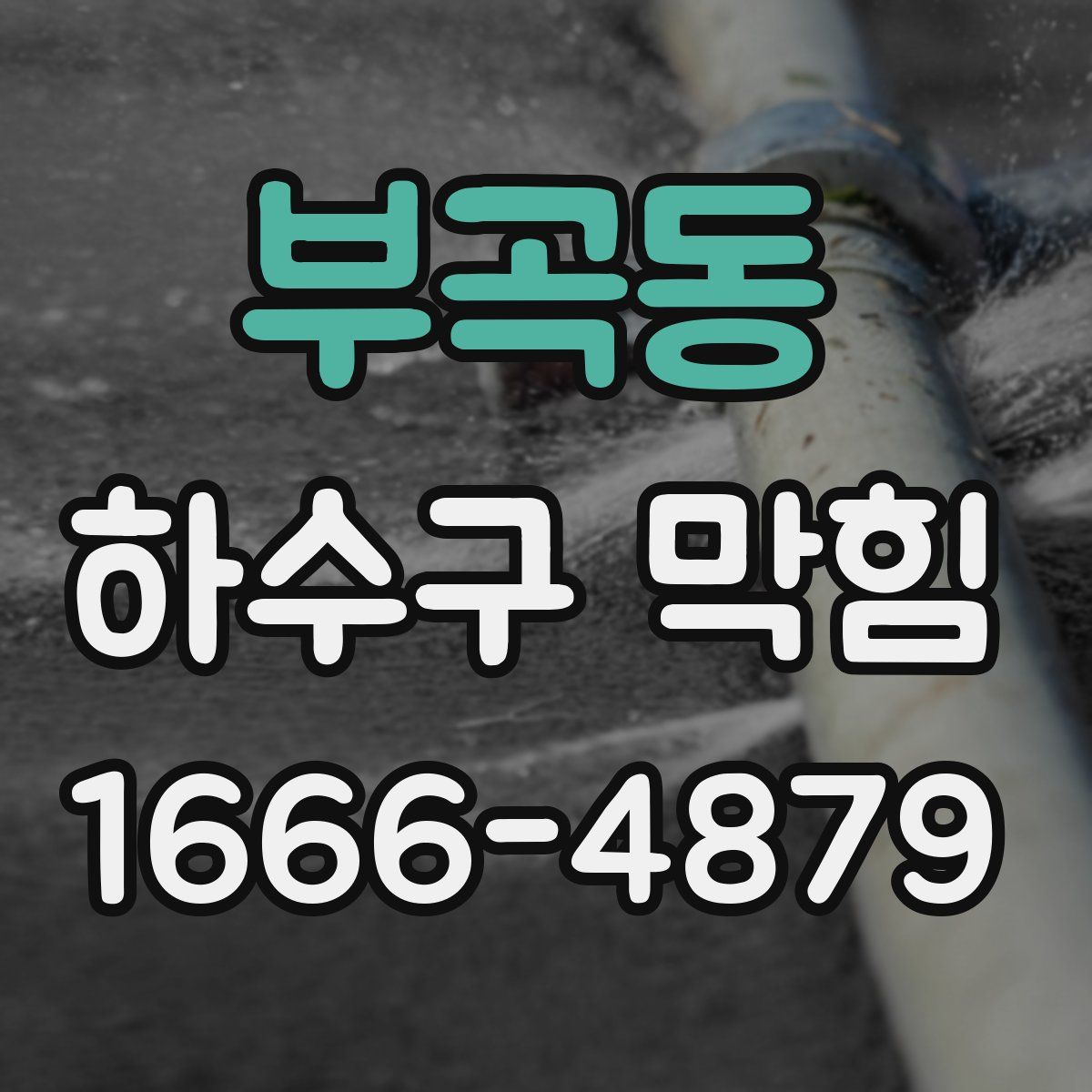부곡동 하수구 막힘