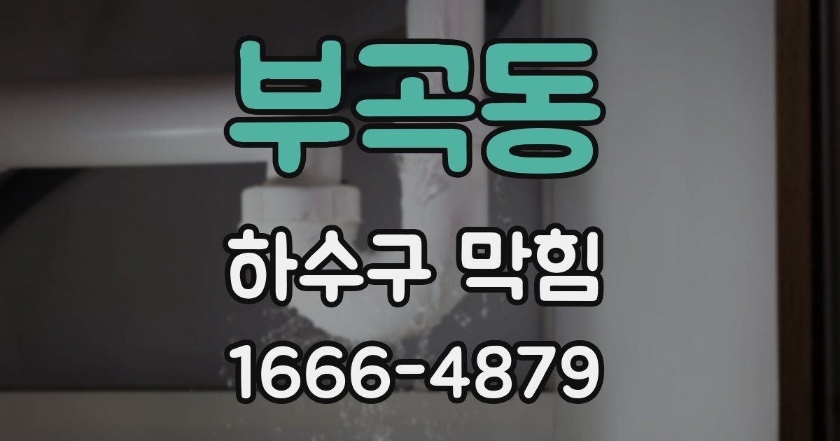 부곡동 하수구 막힘