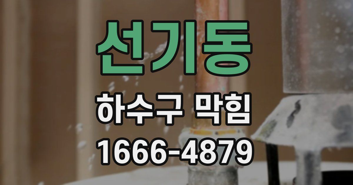 선기동 하수구 막힘